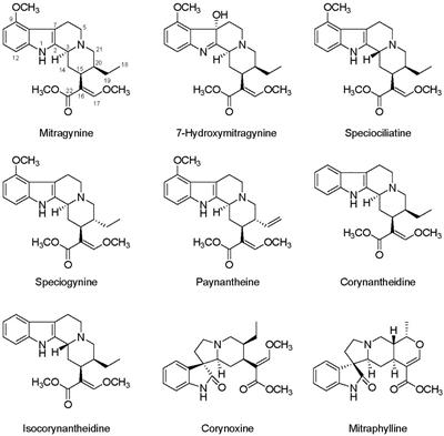 Effects of Nutrient Fertility on Growth and Alkaloidal Content in Mitragyna speciosa (Kratom)